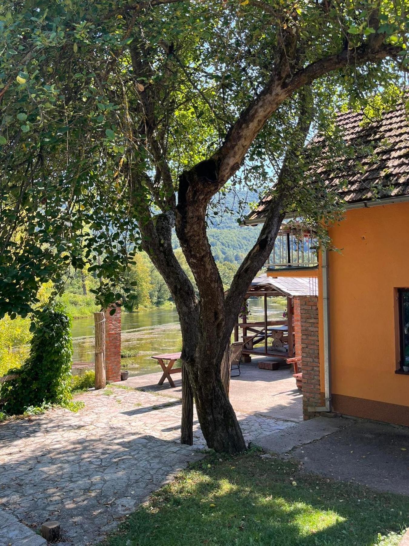 Bed And Breakfast Family Djukic Sipovo エクステリア 写真