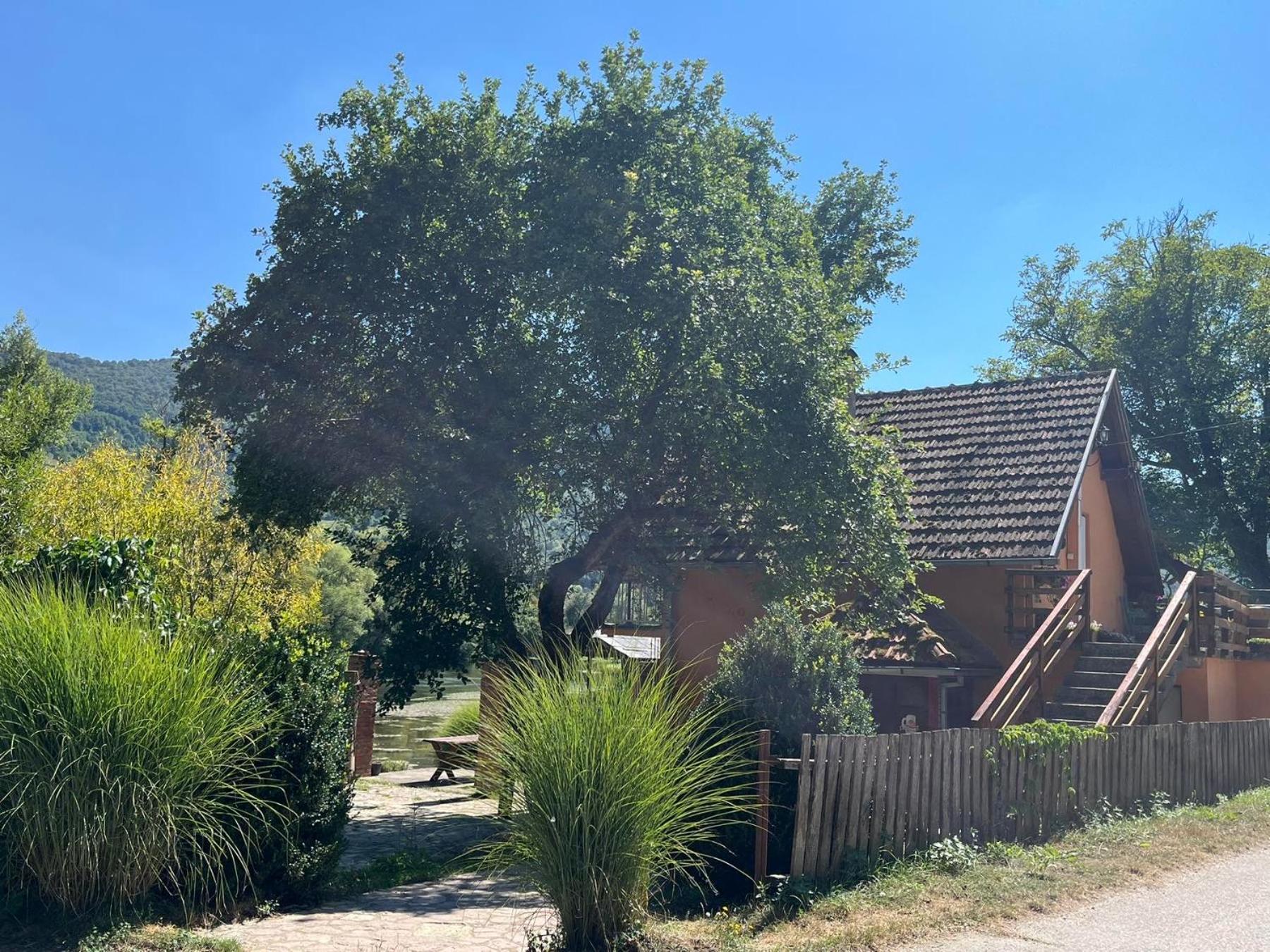 Bed And Breakfast Family Djukic Sipovo エクステリア 写真
